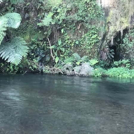 A1 Troutfishing At Tirau Villa Exterior photo